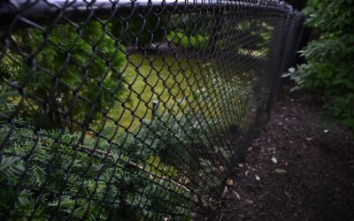 Residential Chain Link Fencing Project – Westfield, MA