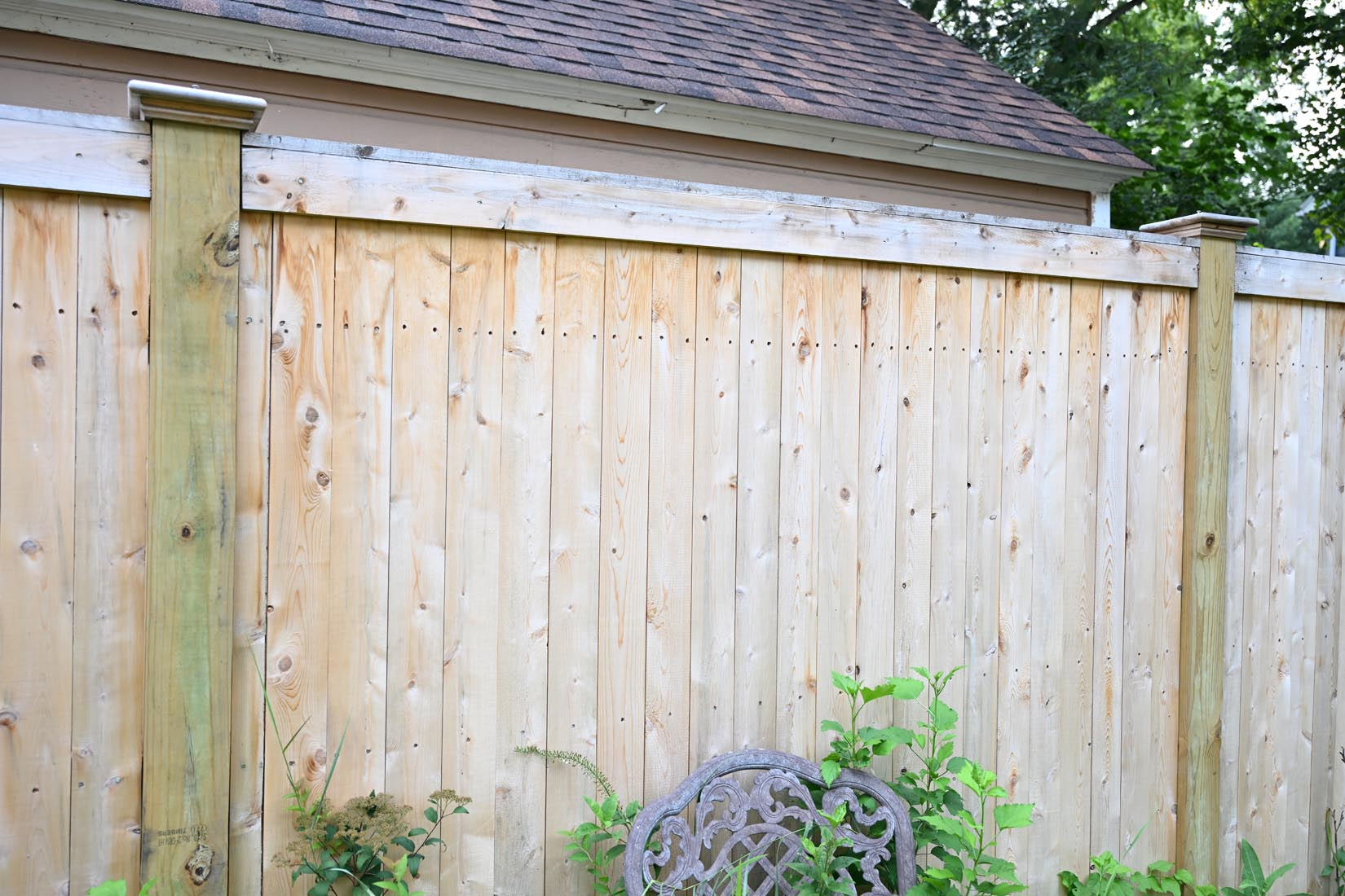 A wooden privacy fence with tall posts stands in front of a shed with a shingled roof. Green plants grow at the base of the fence, and part of a decorative metal chair is visible in the foreground.