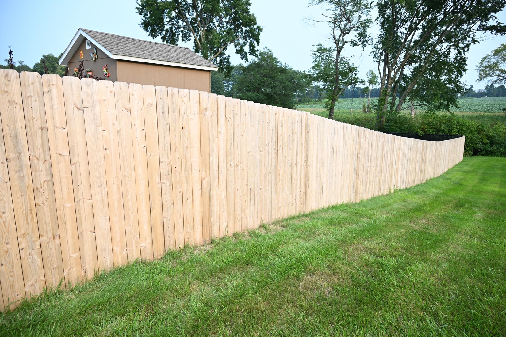 A light wooden privacy fence with a gentle wave pattern runs along a neatly mowed green lawn, with trees and a brown shed visible in the background.