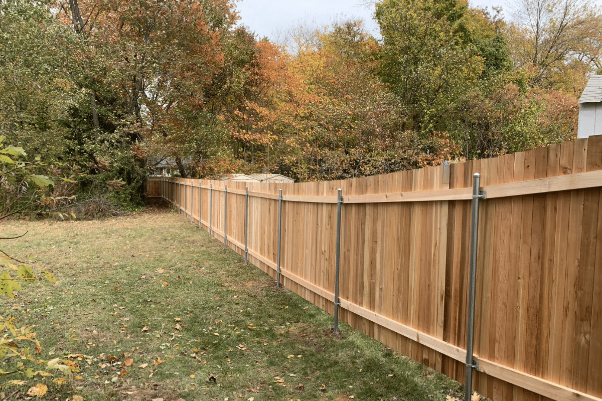 A new wooden privacy fence with metal posts runs along the edge of a grassy backyard. Trees with autumn foliage are visible in the background.