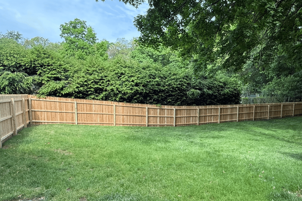 A backyard with bright green grass, bordered by a light wooden fence. Dense, leafy trees and bushes are behind the fence, and the sky above is clear with a few clouds.