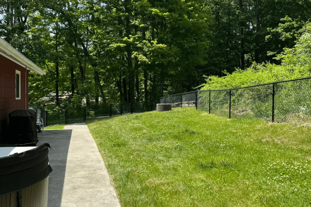 A backyard with a grassy lawn, a concrete walkway, a black chain-link fence, and trees in the background on a sunny day. Part of a red house and a covered hot tub are visible on the left.